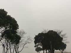 -金鸡湖高尔夫会员专属俱乐部