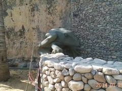 -海南槟榔谷黎苗文化旅游区