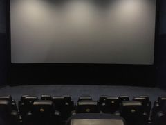 -SFC上影百联影城(川沙IMAX店)