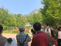 -木兰云雾山