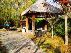 -汤泊温泉度假村