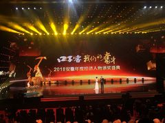 -安徽广播电视台