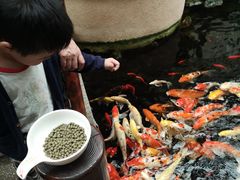 -龙源九号花园酒店(叶埠桥店)
