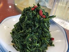 清香枸杞苗-国强手抓(北京西路店)