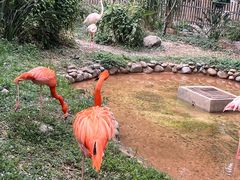 -昆明动物园