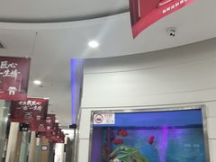 -雅悦齿科(顾村公园店)