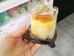 -爱派特动物医院·全科诊疗中心