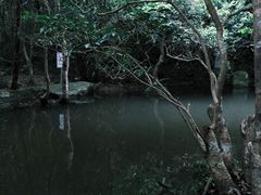 -马峦山郊野公园
