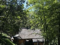 -藏龙百瀑风景区