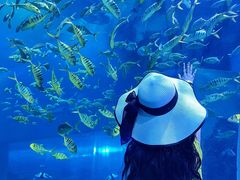 -威海华夏城景区