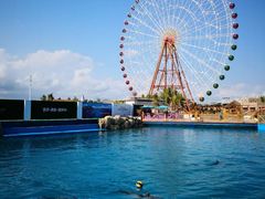 -三亚海昌梦幻海洋不夜城