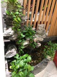 -雅曼妮spa美容养生