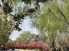 -元大都城垣遗址公园