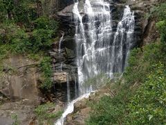 -海南热带雨林国家公园吊罗山景区