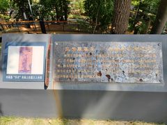 -马王堆汉墓遗址