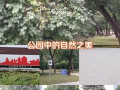 -元大都城垣遗址公园