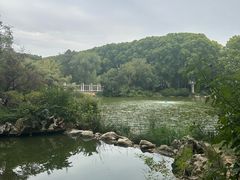 -河南省黄河迎宾馆