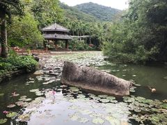 -亚龙湾热带天堂森林公园