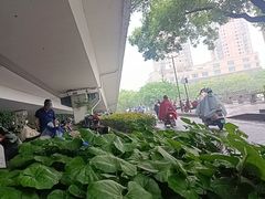 -葑门横街