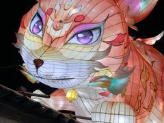 -横店影视城梦幻谷园区