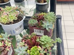 -大润发(芜湖店)