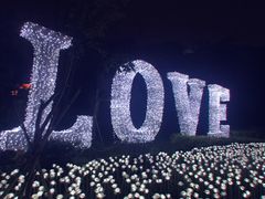 -飞凤山奥体公园
