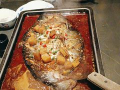 -炉鱼(亲橙里店)