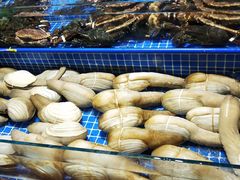 -板桥海鲜广场(文明东店)