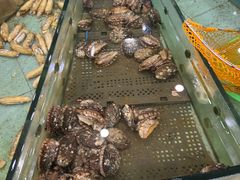 水产区-万家宴海鲜大酒楼(五四路店)