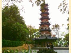 -上海佘山国家森林公园西佘山园