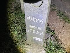 -梧桐山风景名胜区