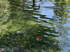 -水磨沟公园