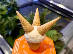 -极拉图·现制冰淇淋(大卫城店)