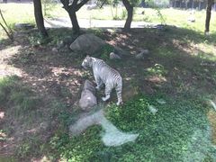 -西安秦岭野生动物园