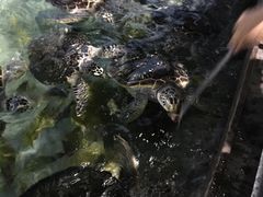 -福州罗源湾海洋世界旅游区