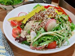 和风田园蔬果沙拉-村上一屋(望京店)