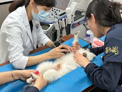 -喜多萌中农锦绣动物医院24H·猫科·牙科MRI·CT