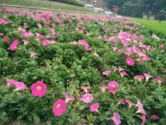 -南国桃园旅游度假区