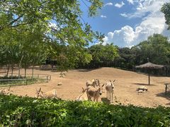 -沈阳森林动物园