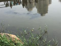 -前关湿地公园