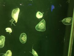 -热带风暴水上乐园(新镇路)