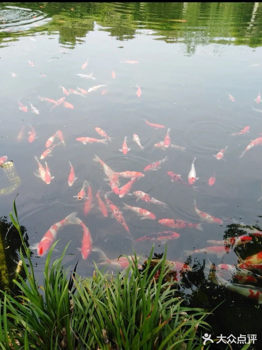 39.9元就可以带宝宝玩一天的乐园 