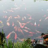 39.9元就可以带宝宝玩一天的乐园 