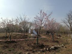 -梁鸿国家湿地公园