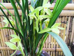 -成都杜甫草堂博物馆
