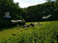 -广州长隆飞鸟乐园