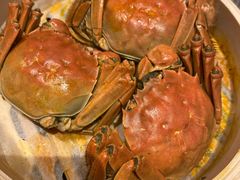 清蒸大闸蟹-马哥孛罗咖啡厅·Cafe Marco (厦门马哥孛罗东方大酒店)