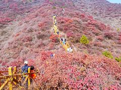 -水峪民俗村