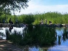 -绿堤公园