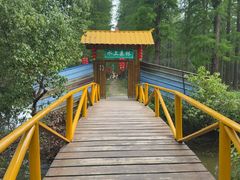 -渌洋湖湿地公园